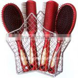 professional hair brush comb set