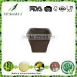 Best Design Popular Endurable Green Plant Fiber Lucky Bamboo Pots