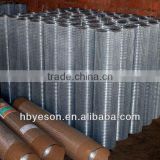 hardware cloth / galvanized welded fence / galvanized hardware netting