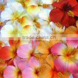 Hibiscus Hawaiian Foam Flowers, Foam Floating Flowers thumbnail-1