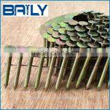 China Factory Supply Umbrella Head Roofing Nails thumbnail-4