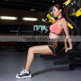 Ladies Latest Fashionable Sexy Sport Bra With Beautiful Colors thumbnail-4