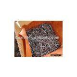 Common Nail thumbnail-1