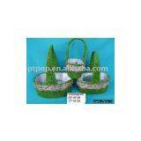 Moss Basket thumbnail-1