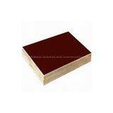 1220x2440mm Film Faced Plywood thumbnail-3