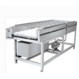 Brush and Spray Washing Machine for Fruit