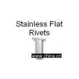 Stainless Flat Rivet 1/4