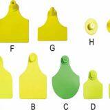 Несвеченный страховой ушной бирка без лазерной печати номера