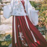Chinese Traditional Dress Hanfu Chinese Traditional Clothing thumbnail-2