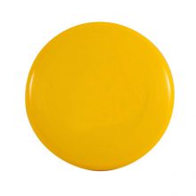 Students School Sports Competition Toys Ultimate Flying disc 175g Color Flying Disk Freestyle Frisbeed