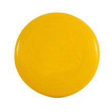 Students School Sports Competition Toys Ultimate Flying disc 175g Color Flying Disk Freestyle Frisbeed