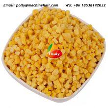Hot Sale Freeze Dried Mango Slices Supplier thumbnail-3