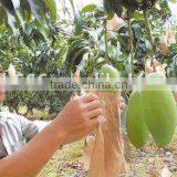 Malaysia Vietnam Sri Lanka Kraft Paper Mango Protection Bag thumbnail-4