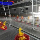 prefabricated low cost steel poultry shed for chicken
