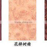 Poplar Core Veneer Plywood Cheap Keruing Plywood thumbnail-2