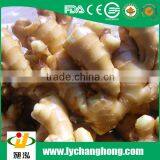 2015 New Crop Linyi Origin Air Dried Ginger thumbnail-2