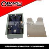 Small Iron Gate Floor Hinge/small Size Hydraulic Floor Hinge for 80kg/small Spring/BL-8300 thumbnail-1