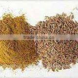 Black Cumin Seed thumbnail-6