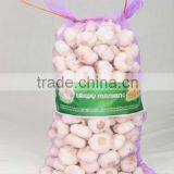 Hot Sale Fresh Chinese Normal White Garlic thumbnail-5