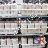 2016 Best Selling Mushroom Grow Bags Plastic Crate thumbnail-5