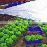 PP Spunbond Non-woven Agricultural Fabric 50gsm