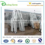 Cattle divide free stall galvanized