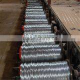 Factory Direct Electro Galvanized Iron Wire (soft and Competitive Price )/Galvainzed WIre thumbnail-5