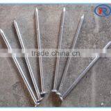 Electro-galvanized Common Building Nails Common Wire Iron Nail thumbnail-4