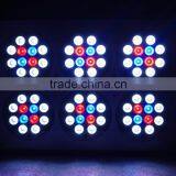 High Quality Apollo Cob 6 Led Grow Light for Grow Plant thumbnail-1