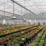 Polycarbonate Sheet Greenhouse thumbnail-3