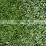 Leisure Outdoor Artificial Grass Carpet/Artificial Outdoor Grass for Sport thumbnail-1
