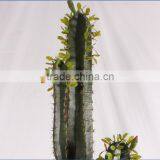 SJ3001015 Hot Artificial Cactus Plant Plastic Cactus Craft Plant/indoor Decorative Cactus thumbnail-4