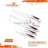 A3138-1 Royal Style 5pcs Stainless Steel Knife Set thumbnail-6