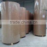 210GSM+15PE Paper Roll of Paper Cups thumbnail-1