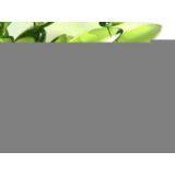 Sell Pressed Crystal Beads thumbnail-1