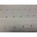 Contactless Inlay