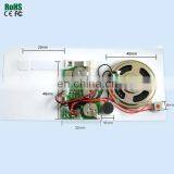 10 Seconds Or Customed Sound Recording Module For Greeting Cards