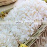 Sushi Rice thumbnail-1