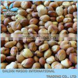 China Red Sorghum Grain thumbnail-1