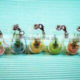 Pet Mini Plant thumbnail-1