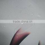 Home Decor Sunscreen Roller Blinds / Roller Shades / Roller Blinds