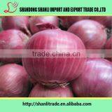 Nutritious Vegetable ,fresh Red Onion,long Shelf Time thumbnail-2