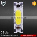 Newest Sign High Brightness Long Lifespan Waterproof DC 12V Cob Power Led Module With White Red Blue Yellow Green Warm White RGB