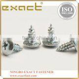 Pan Head Self Tapping Screw Pozi Head Tapping Screw thumbnail-3