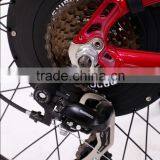 Electric Bicycle (Model SEB500F) thumbnail-4