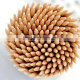 Sharpen Edges Wooden Tooth Picks From Indian Exporters thumbnail-1