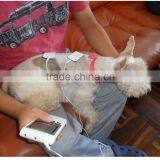 Veterinary Therapy With Pain Relief,massager for the Pet thumbnail-3