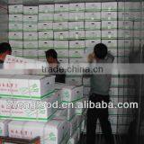 New Crop Fresh White Raddish From China thumbnail-3