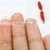 2015 NingXia Original Fresh Dried Goji Berry thumbnail-4