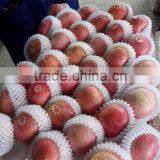 Yantai Fresh Apple/china Fresh Apple thumbnail-2